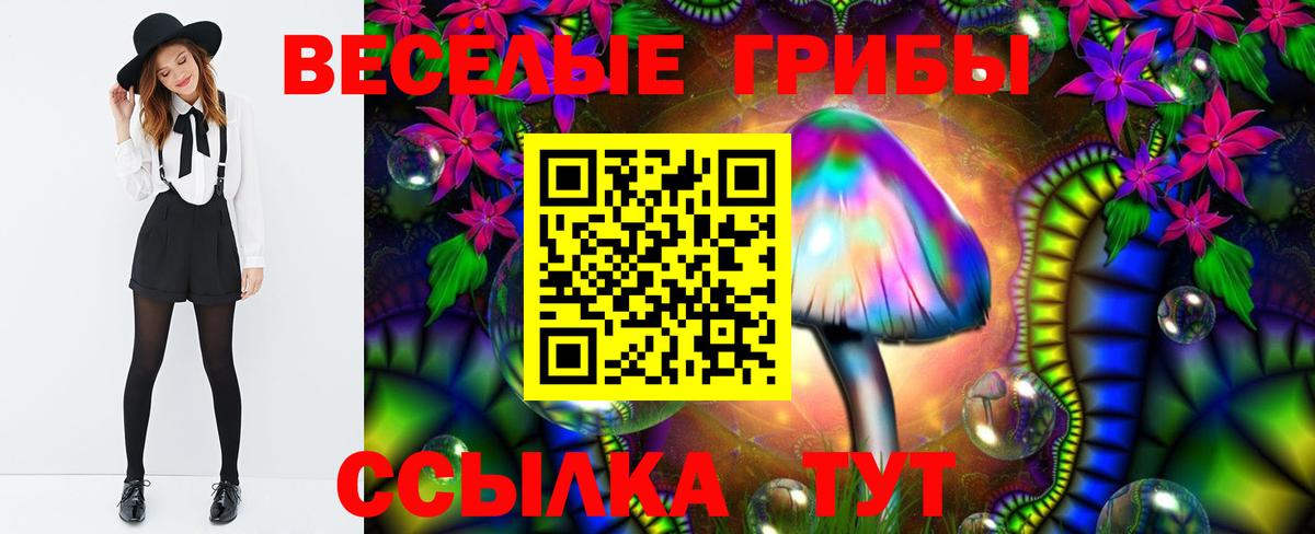 Элиста  Галлюциногенные грибы ЛСД  наркошоп  Вход с VPN 
