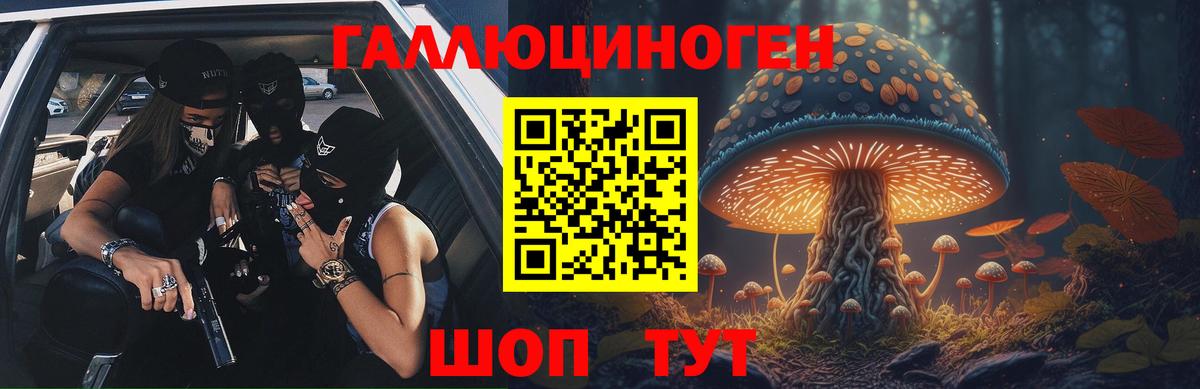Галлюциногенные грибы Psilocybine cubensis Элиста